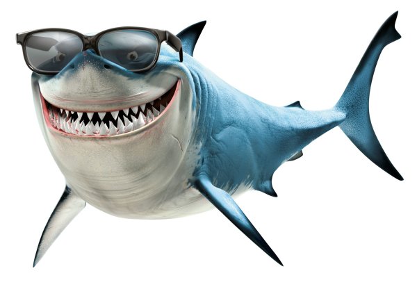 Акула на аву