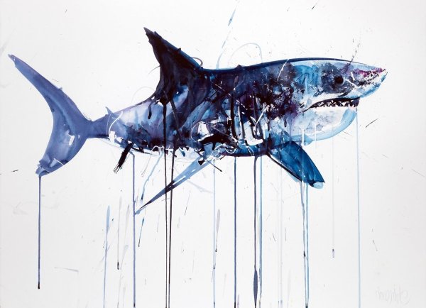 Аватар акула