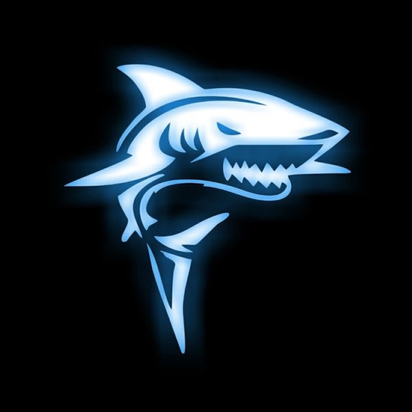 Команда КС го с акулой