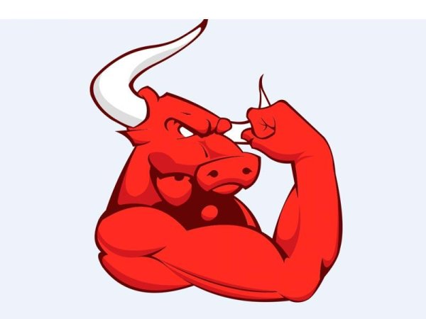 Морда злого быка