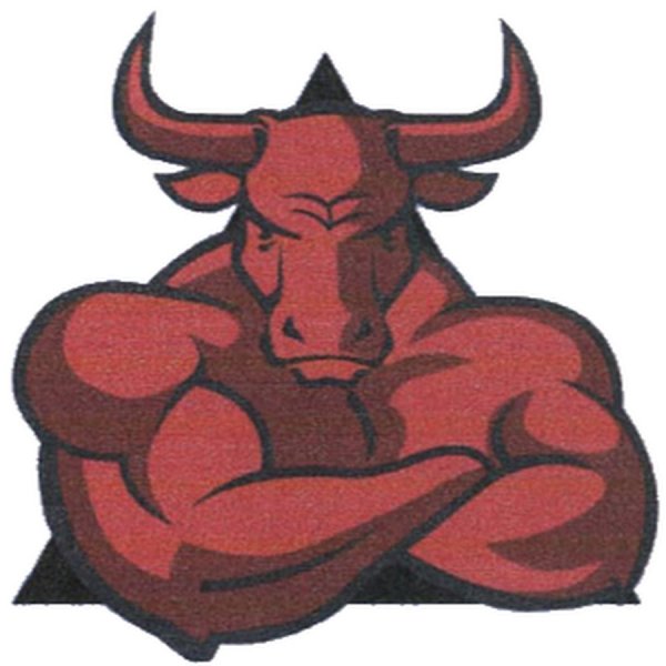 Таурус бык Телец