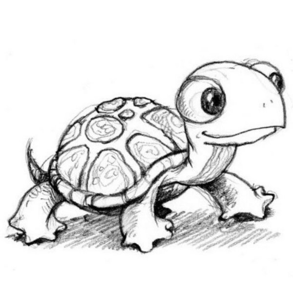 Крутые рисунки в Turtle