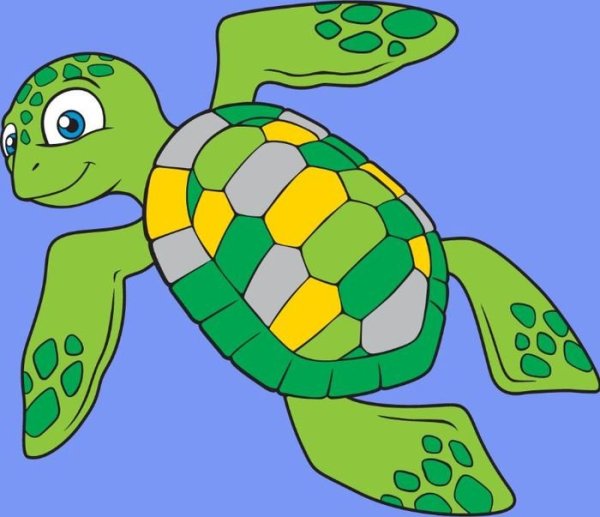 Черепаха рисунок