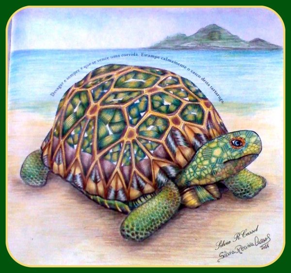 Рисование черепаха