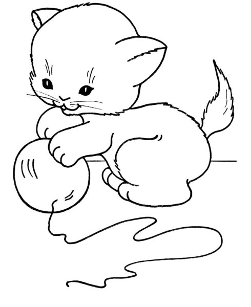 Котенок раскраска для малышей
