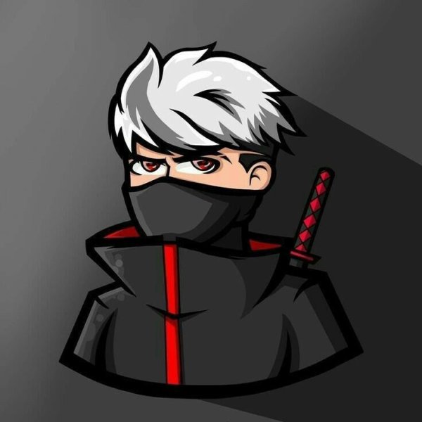 Ава фф ниндзя