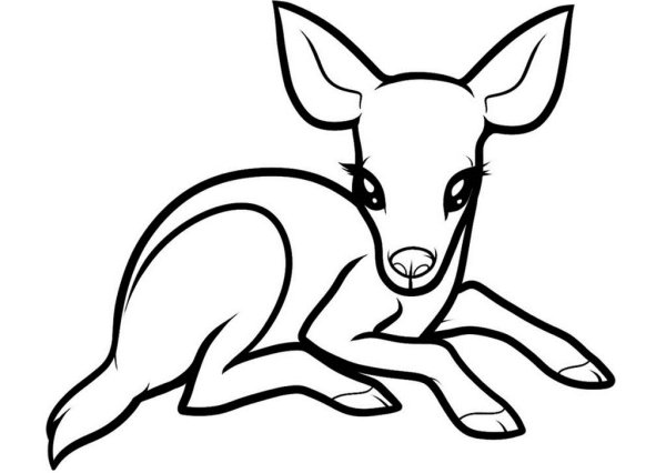 Олениха раскраска для детей