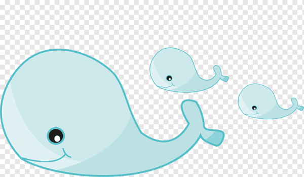 Нарисовать маленького кита