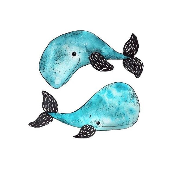 Кит рисунок