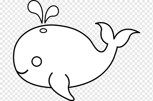 Милые Нарвалы