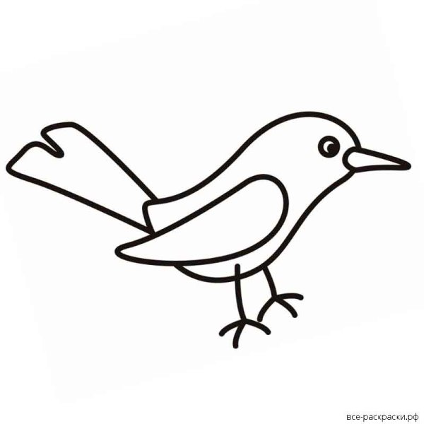 Птица для раскрашивания для детей простая