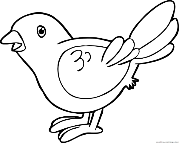Птичка для раскрашивания детям