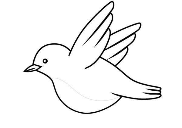 Птичка раскраска для малышей