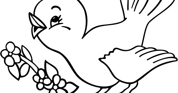 Птицы раскраска для детей