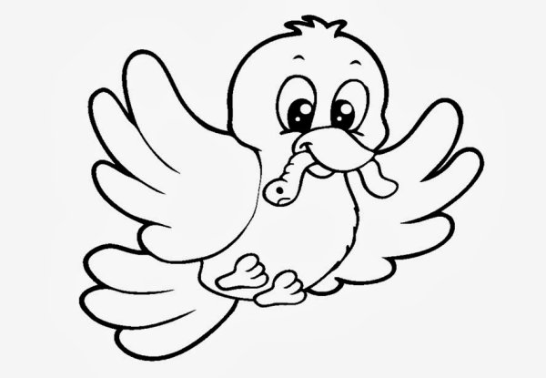 Раскраска попугай