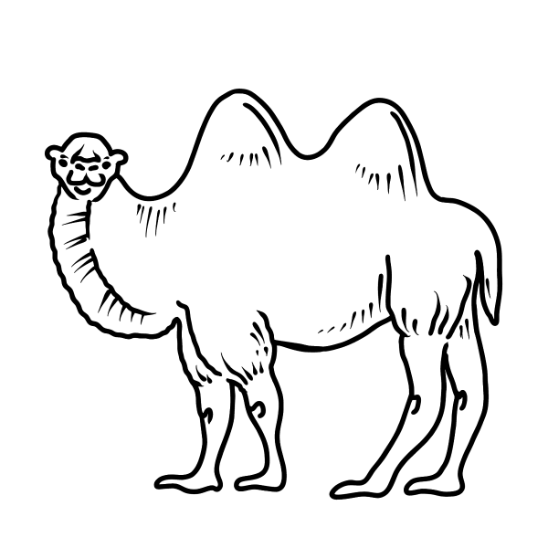 Верблюд рисунок цветной