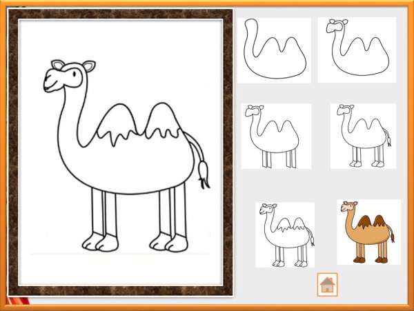 Двугорбый верблюд