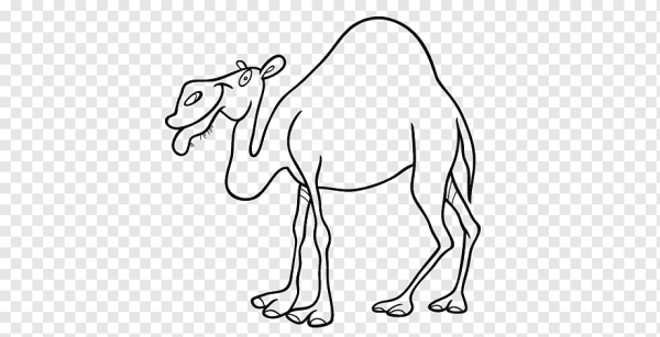 Трафарет верблюда для рисования для детей