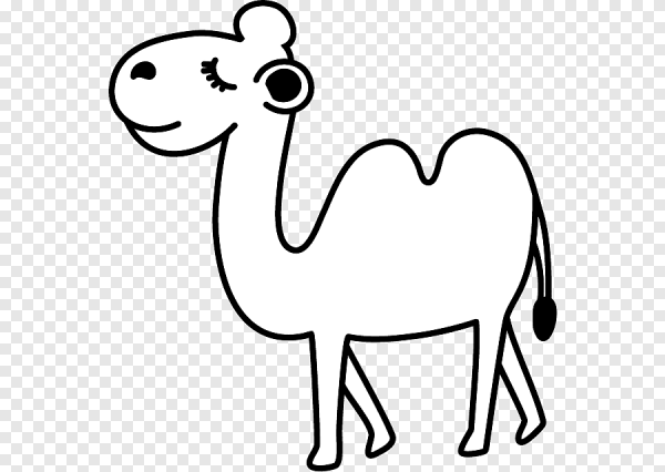 Верблюд рисунок