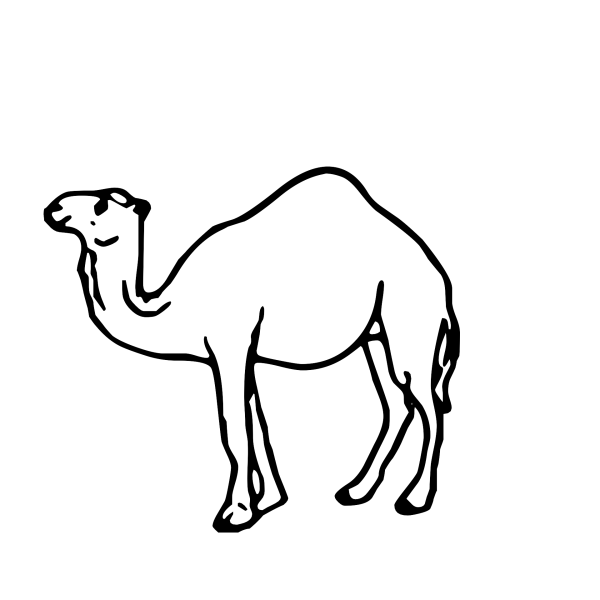 Верблюд рисунок для детей простой