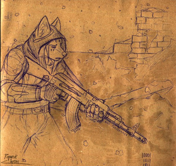 Сталкер группировка чистое небо арт