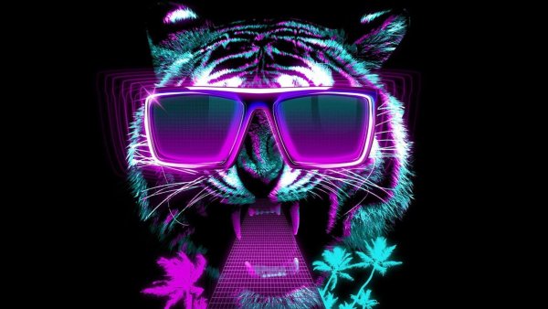 Кот в очках