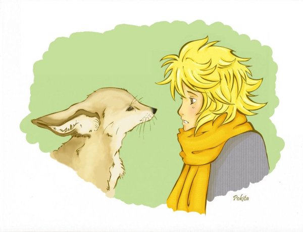 Маленький принц лиса