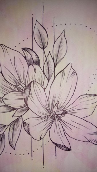 Интересные рисунки цветов