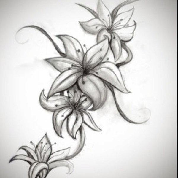 Эскиз тату лилии на бедро