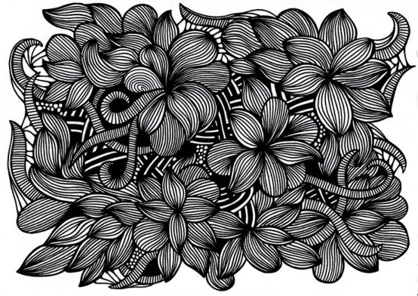 Цветы в графике