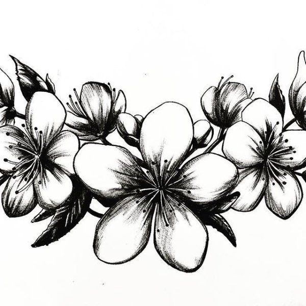 Цветы эскиз