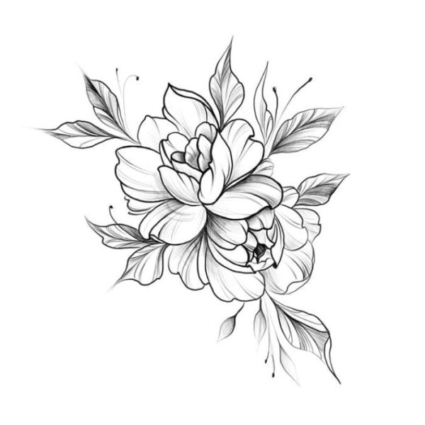 Цветы карандашом