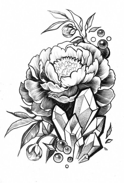 Рисунки цветов карандашом