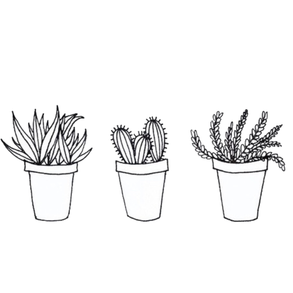 Кактус черно белый для распечатки