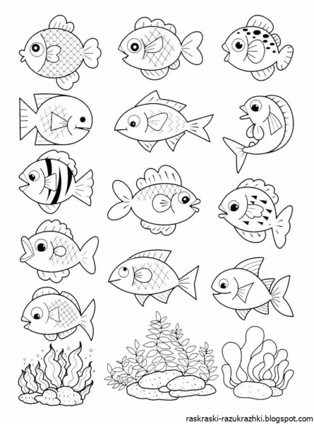 Раскраска рыбка