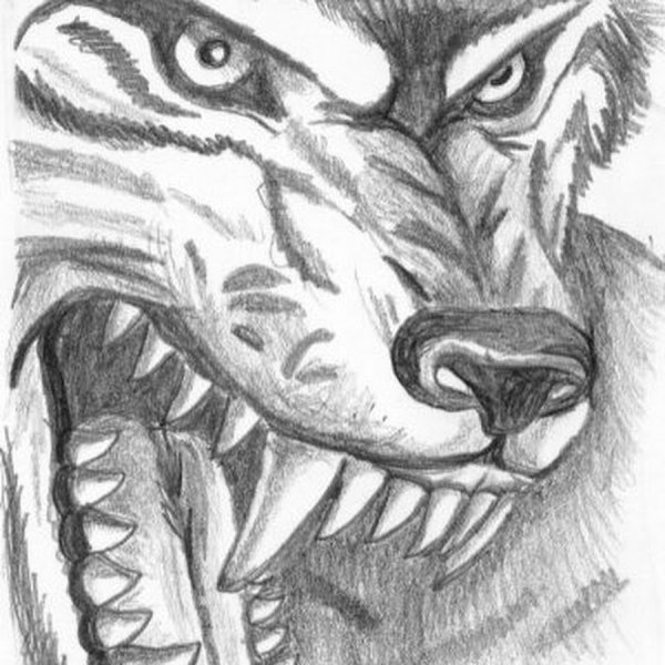 Графика животные