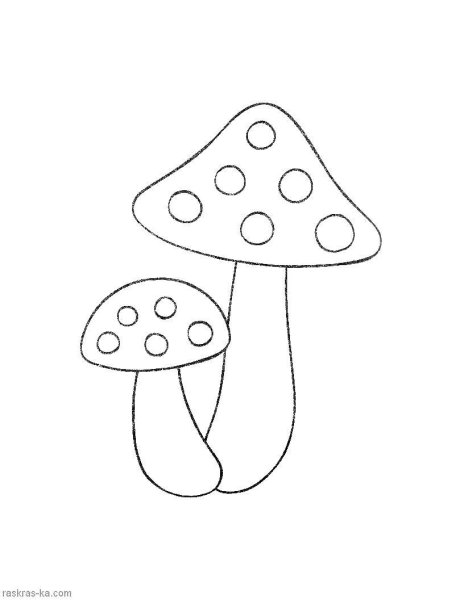 «Грибы для белки» (Комарова, с.36)