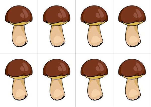 Грибы для детей мухомор белый гриб