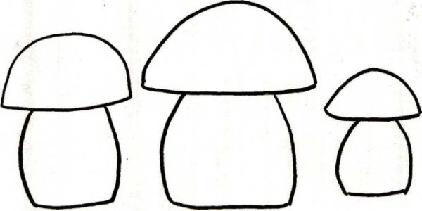 Развивающее занятие грибы