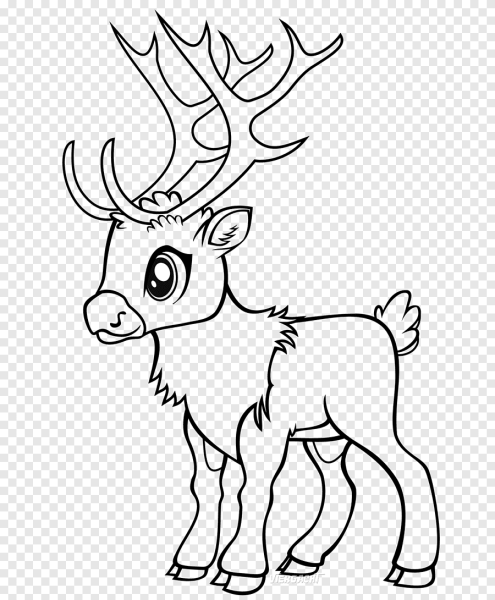 Олень раскраска для детей