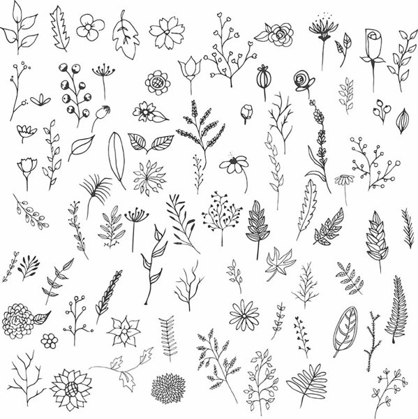 Растения контур