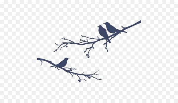 Птицы на ветке вектор