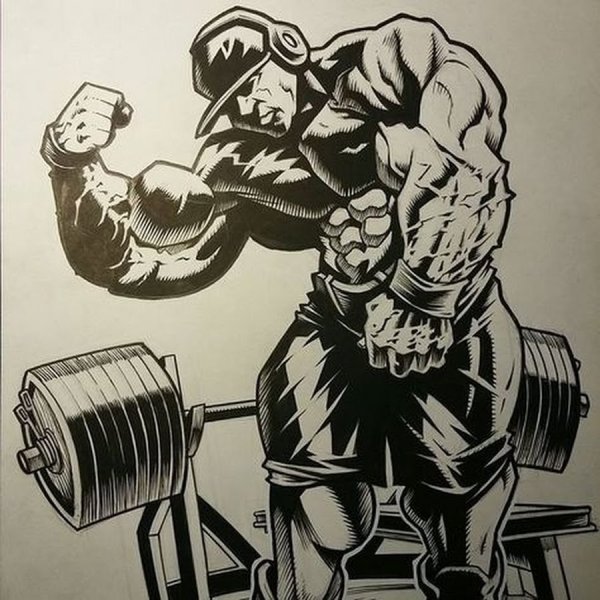 Вольная борьба вектор