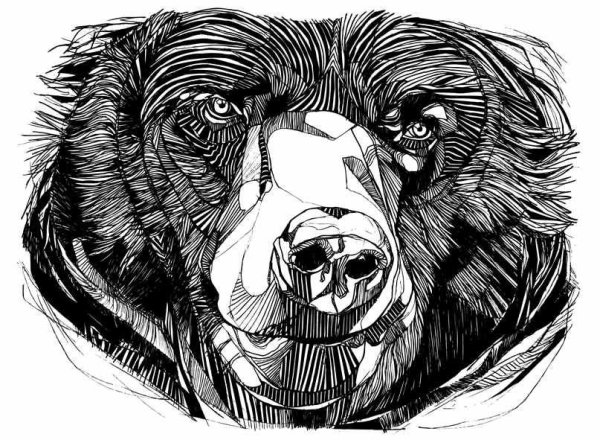 Скетч тату пантера