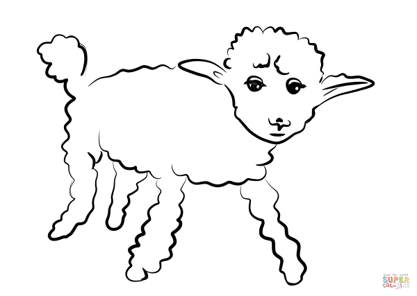 Ягненок раскраска для детей