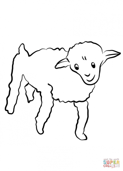 Овечка раскраска