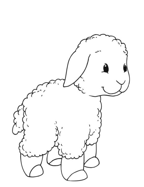 Овечка картинка для детей раскраска
