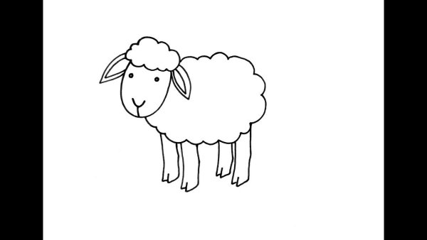 Милые барашки рисунки