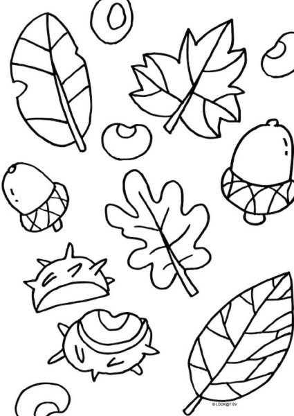 Осень задания для детей