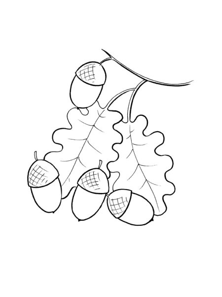 Трафареты осенних грибов